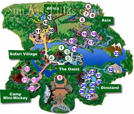 Magic Kingdom