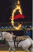 Arabian Nights Dinner Theater