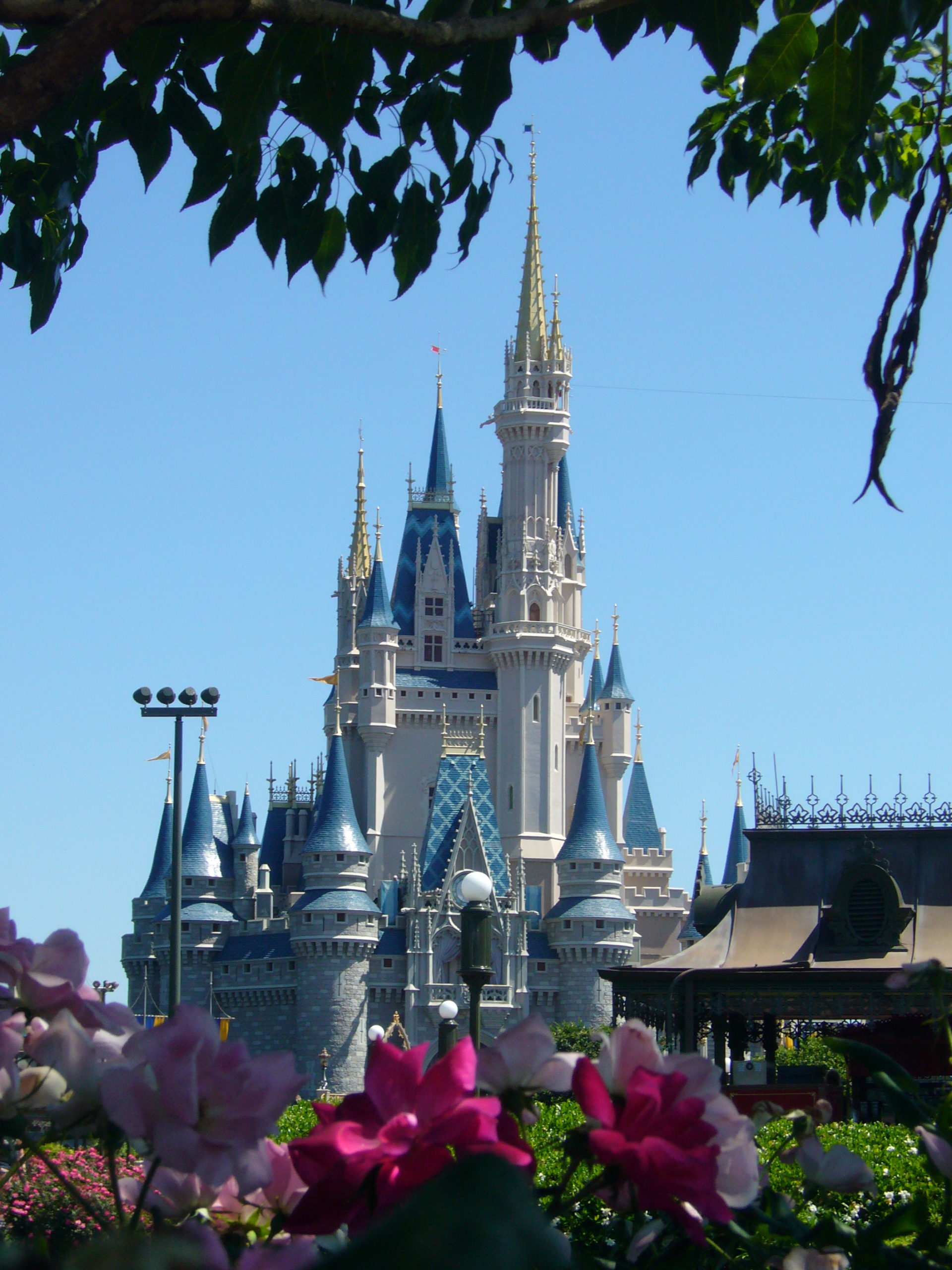 Magic Kingdom Castle - Orlando Theme Parks